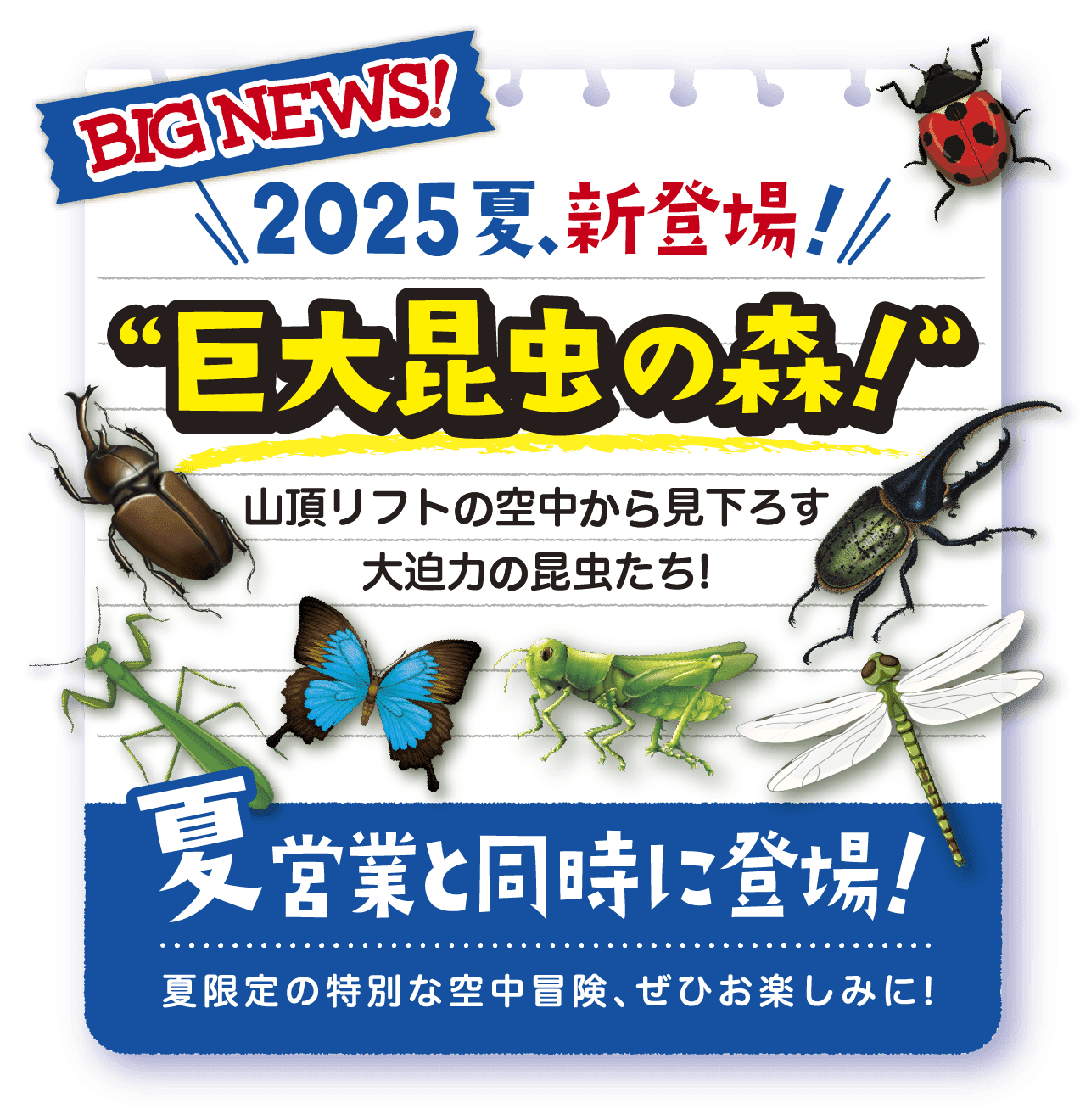 2025夏新登場！巨大昆虫の森！！