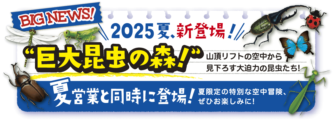 2025夏新登場！巨大昆虫の森！！