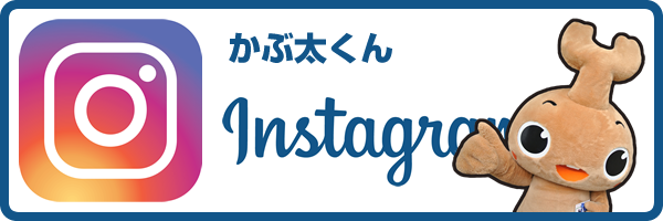 パラダのInstagramページへ